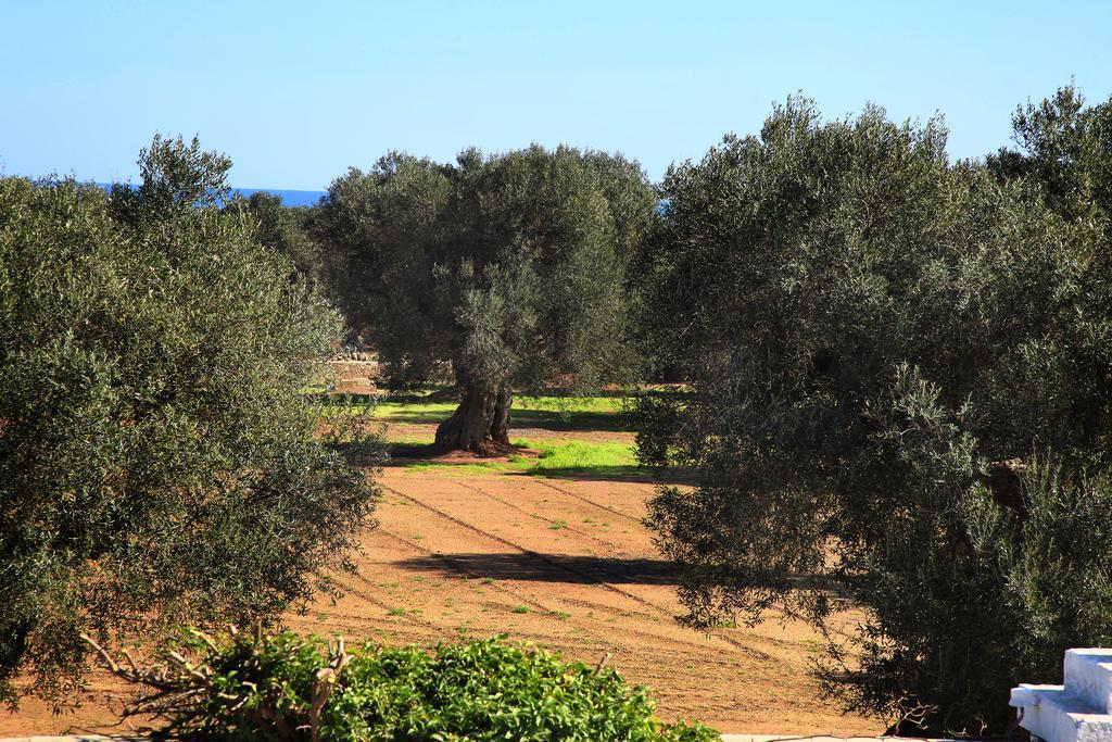 Masseria Pittore Savelletri Exterior photo
